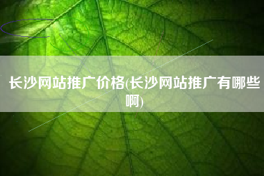 长沙网站推广价格(长沙网站推广有哪些啊)