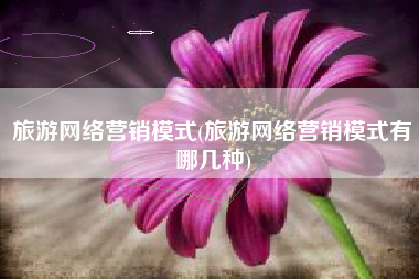 旅游网络营销模式(旅游网络营销模式有哪几种)