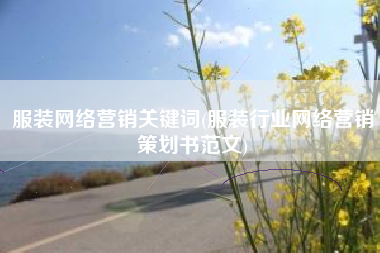 服装网络营销关键词(服装行业网络营销策划书范文)