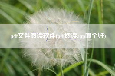 pdf文件阅读软件(pdf阅读app哪个好)