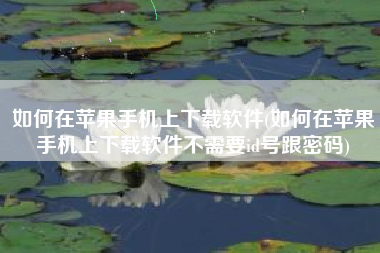如何在苹果手机上下载软件(如何在苹果手机上下载软件不需要id号跟密码)