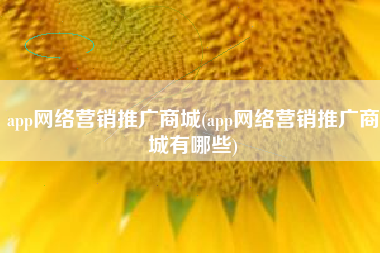 app网络营销推广商城(app网络营销推广商城有哪些)
