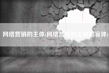 网络营销的主体(网络营销的主体和客体)
