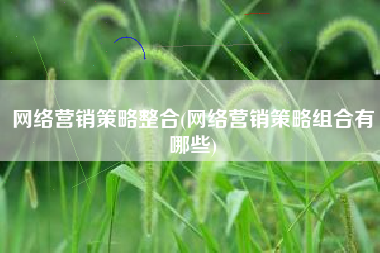 网络营销策略整合(网络营销策略组合有哪些)