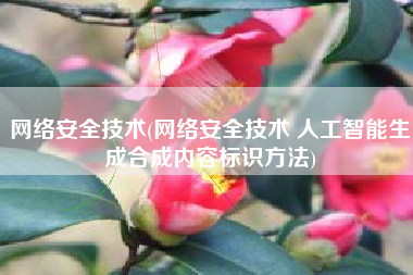 网络安全技术(网络安全技术 人工智能生成合成内容标识方法)