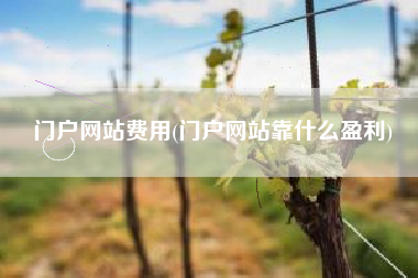 门户网站费用(门户网站靠什么盈利)