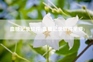 血糖记录软件(血糖记录软件免费)