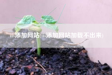 iis添加网站(iis添加网站加载不出来)