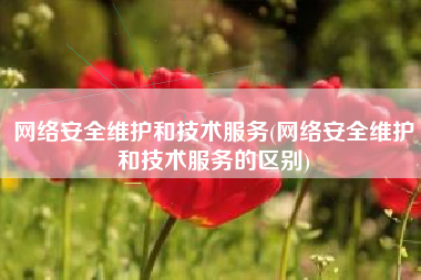 网络安全维护和技术服务(网络安全维护和技术服务的区别)