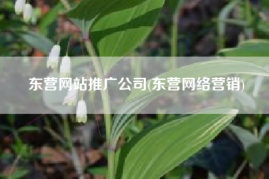 东营网站推广公司(东营网络营销)
