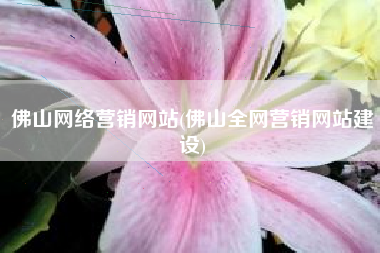 佛山网络营销网站(佛山全网营销网站建设)