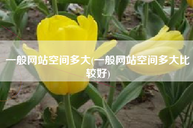 一般网站空间多大(一般网站空间多大比较好)
