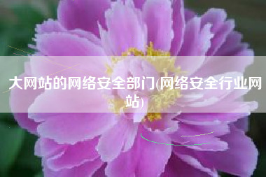 大网站的网络安全部门(网络安全行业网站)