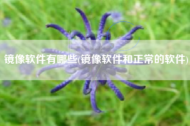 镜像软件有哪些(镜像软件和正常的软件)