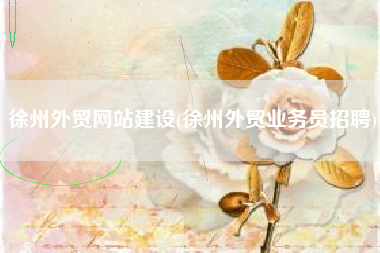 徐州外贸网站建设(徐州外贸业务员招聘)