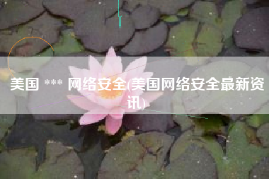美国 *** 网络安全(美国网络安全最新资讯)