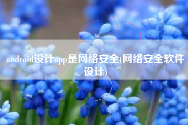 android设计app是网络安全(网络安全软件设计)
