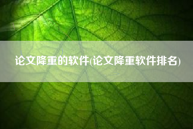 论文降重的软件(论文降重软件排名)