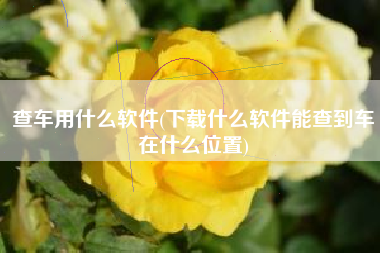 查车用什么软件(下载什么软件能查到车在什么位置)