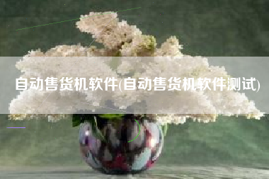 自动售货机软件(自动售货机软件测试)