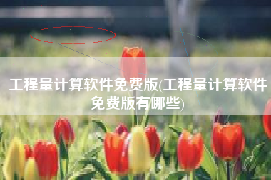 工程量计算软件免费版(工程量计算软件免费版有哪些)