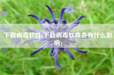下载病毒软件(下载病毒软件会有什么影响)