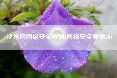 快速的网络安全等保(网络安全等保20)