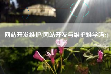 网站开发维护(网站开发与维护难学吗?)