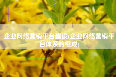 企业网络营销平台建设(企业网络营销平台体系的组成)