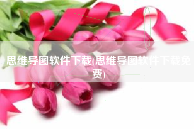 思维导图软件下载(思维导图软件下载免费)