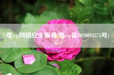 粤icp网络安全服务(粤icp备2020093575号)