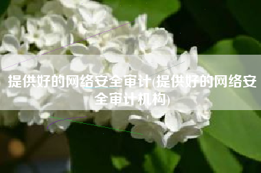 提供好的网络安全审计(提供好的网络安全审计机构)