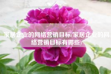 家居企业的网络营销目标(家居企业的网络营销目标有哪些)