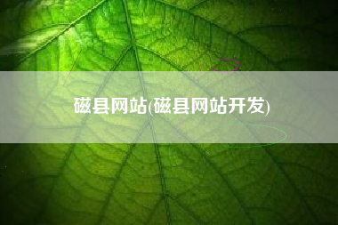 磁县网站(磁县网站开发)