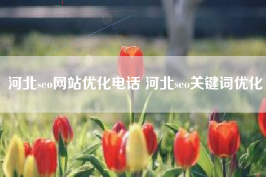 河北seo网站优化电话 河北seo关键词优化