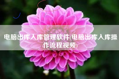 电脑出库入库管理软件(电脑出库入库操作流程视频)