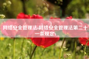 网络安全管理法(网络安全管理法第二十一条规定)