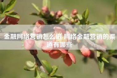 金融网络营销怎么做 网络金融营销的渠道有哪些