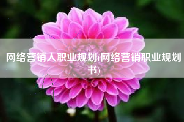 网络营销人职业规划(网络营销职业规划书)