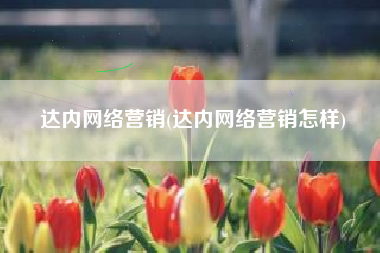 达内网络营销(达内网络营销怎样)