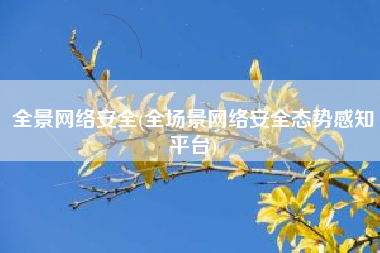全景网络安全(全场景网络安全态势感知平台)