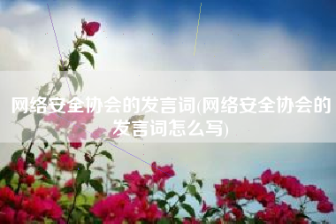 网络安全协会的发言词(网络安全协会的发言词怎么写)