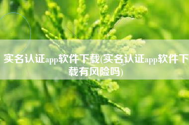 实名认证app软件下载(实名认证app软件下载有风险吗)