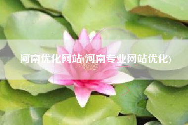 河南优化网站(河南专业网站优化)
