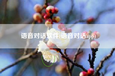 语音对话软件(语音对话app)