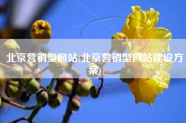 北京营销型网站(北京营销型网站建设方案)
