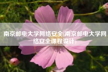南京邮电大学网络安全(南京邮电大学网络安全课程设计)