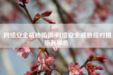 网络安全威胁防御(网络安全威胁应对措施有哪些)