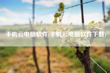 手机云电脑软件(手机云电脑软件下载)