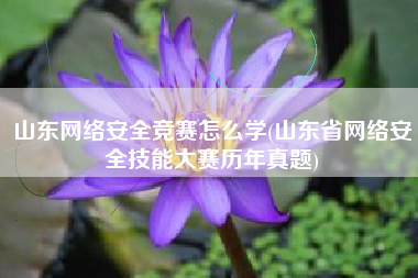 山东网络安全竞赛怎么学(山东省网络安全技能大赛历年真题)